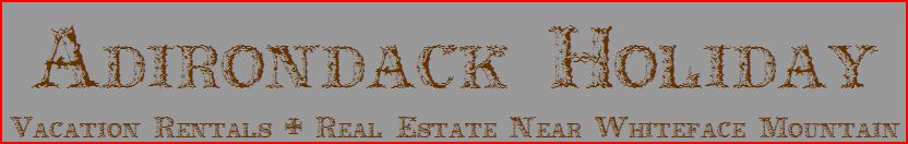 Adirondack Vacation Rentals Lodging Accomodation Waterfront Cabin