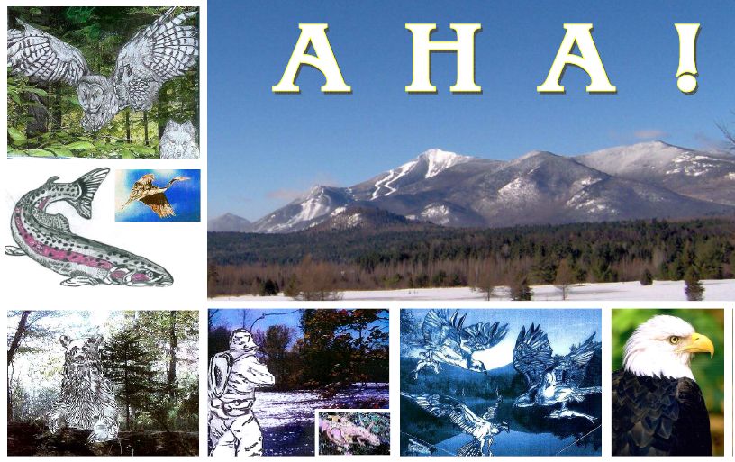 Adirondack Habitat Awareness Day