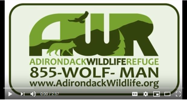 Adirondack Wildlife Refuge Introduction by Adirondack Drone