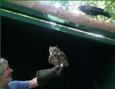 Abie gives Steve advice on handling Utah