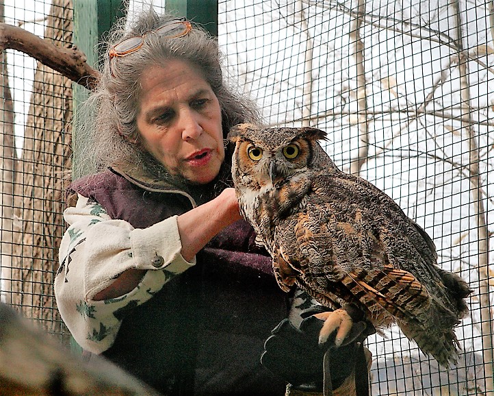 Wendy with Artemis, great horned owl
