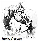 Crane Mountain Valley Horse Rescue