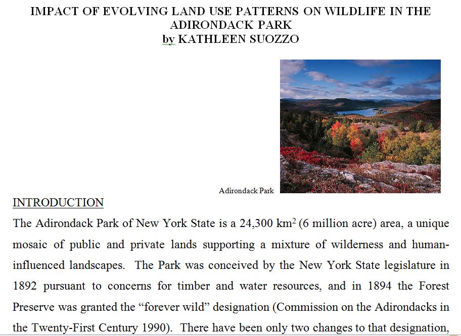 Adirondack Wolf Paper