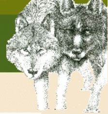 Northeast Ecological Recovery