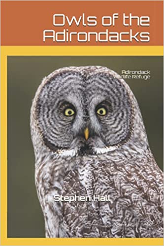 Owls of the Adirondacks, by Steve Hall