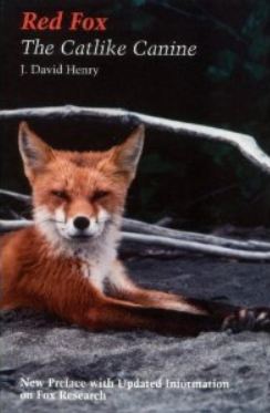 Red Fox by J. David Henry