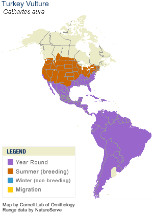 Turkey Vulture Range