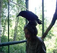 Abe the Raven and Wendy