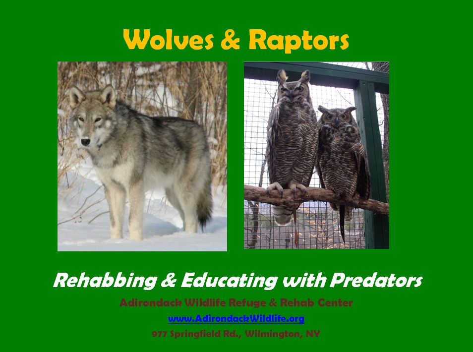 Wolves and Raptors Rehab & Education