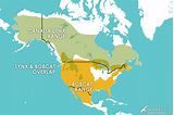 Bobcat Lynx Range
