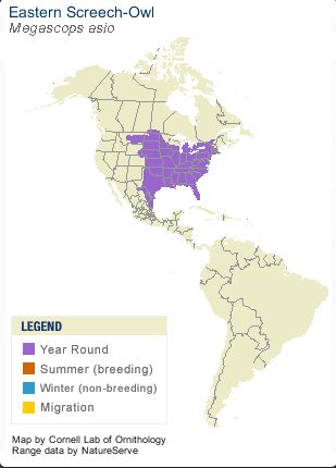 Eastern Screech Owl range