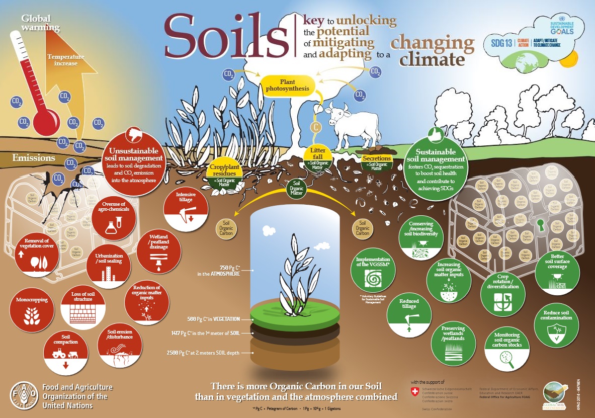 Soil for Regenerative Agriculture