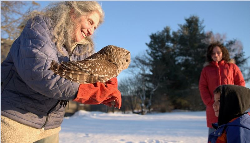 Wendy Hall releasing a barred owl