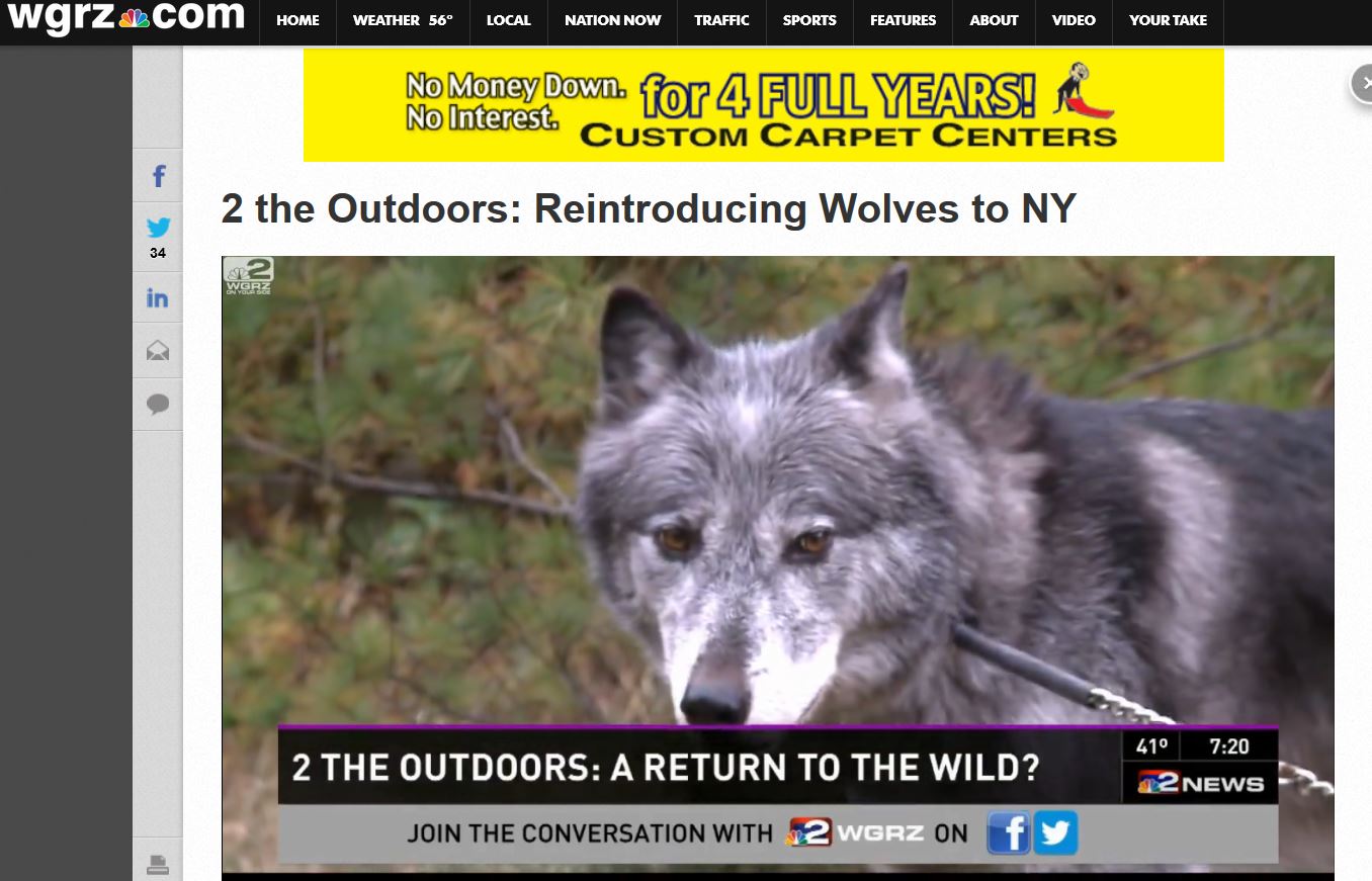 Steve & WEndy discuss Adirondack Wolf Reintroduction