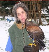Wendy with Harris Hawk
