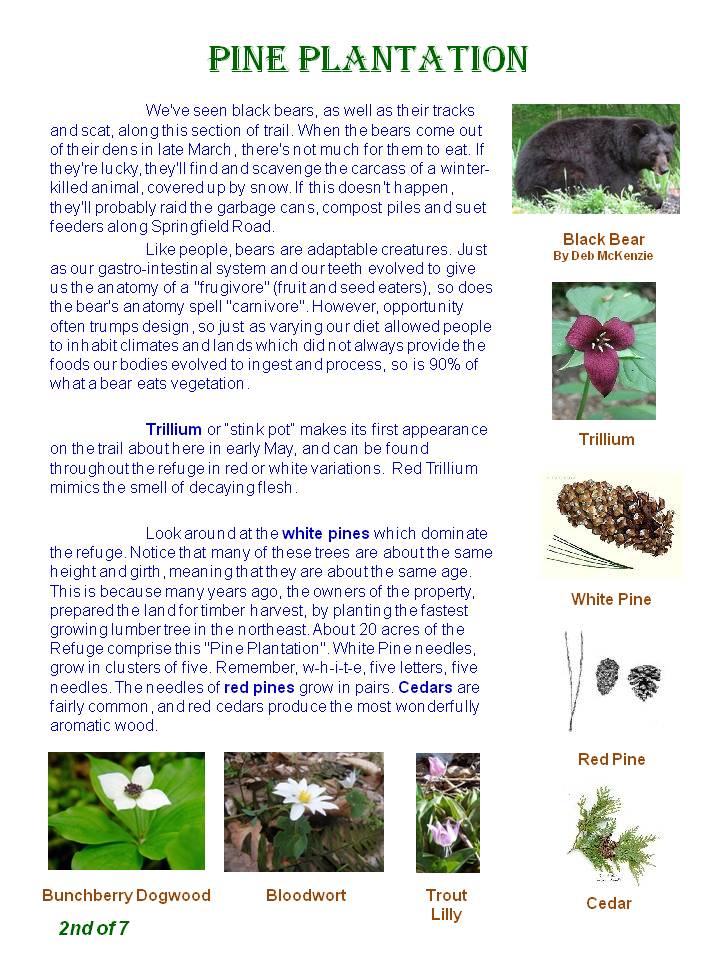 Nature Trail Guide - page 2