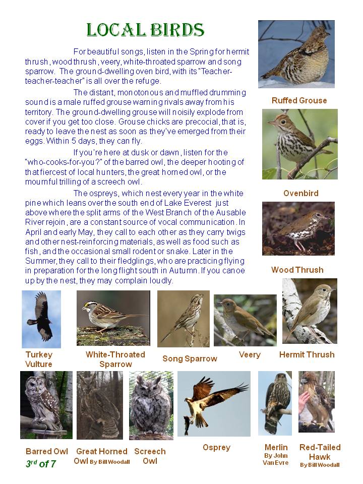 Nature Trail Guide - page 3