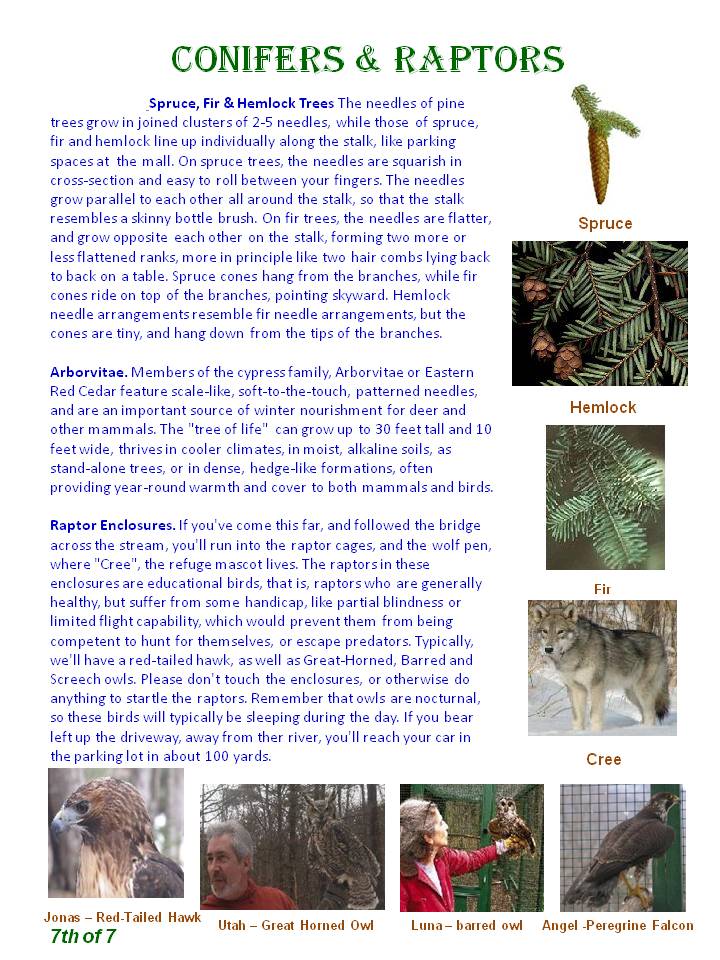 Nature Trail Guide - page 6